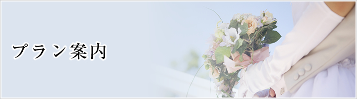 �v�����ē�